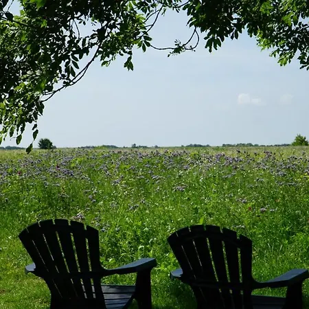 Gonnsen Emmelsbull-Horsbull