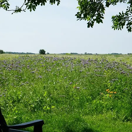 Gonnsen * Emmelsbull-Horsbull